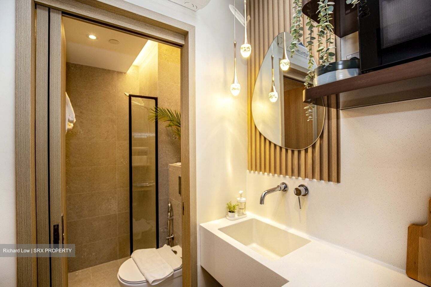 Mount Elizabeth Link (D9), Apartment #389295771